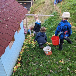 PXL_20221011_084152953