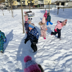 IMG_20231211_112723