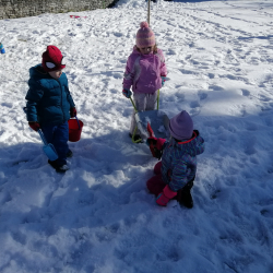 IMG_20240126_105357